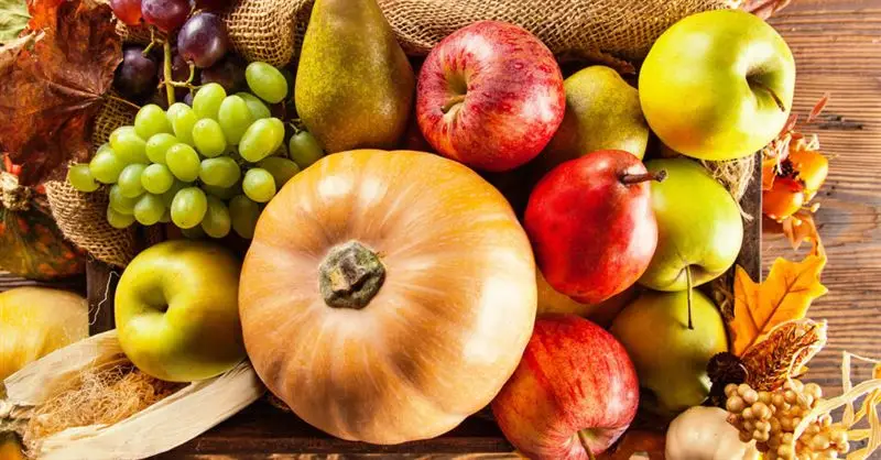 Seasonal Fruits in Turkey 6 Fruits of the Harvest Season