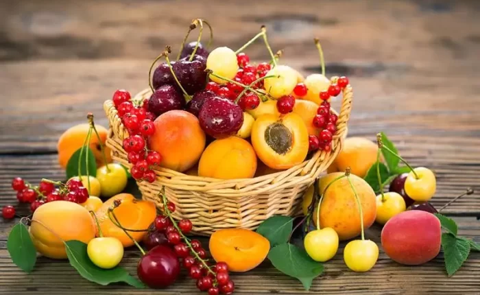 Seasonal Fruits in Turkey