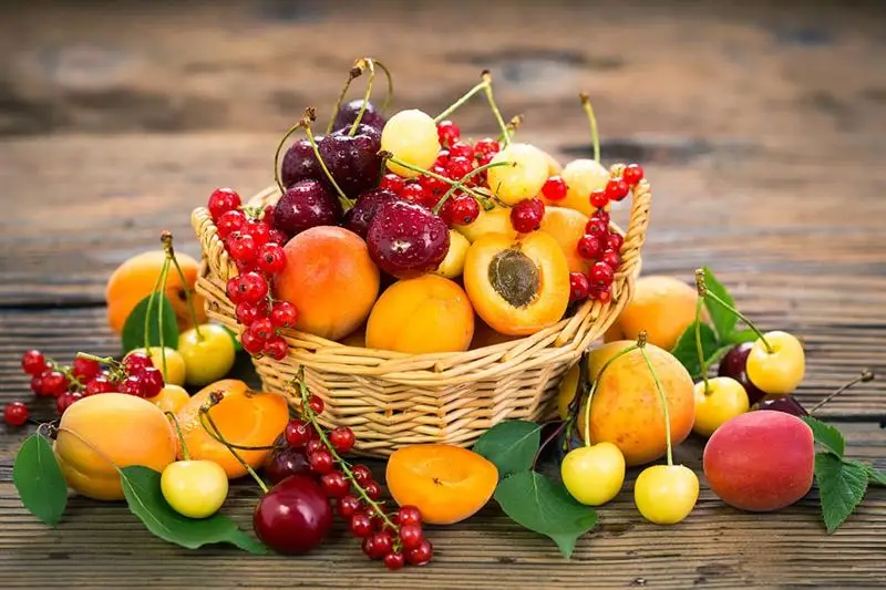 Seasonal Fruits in Turkey