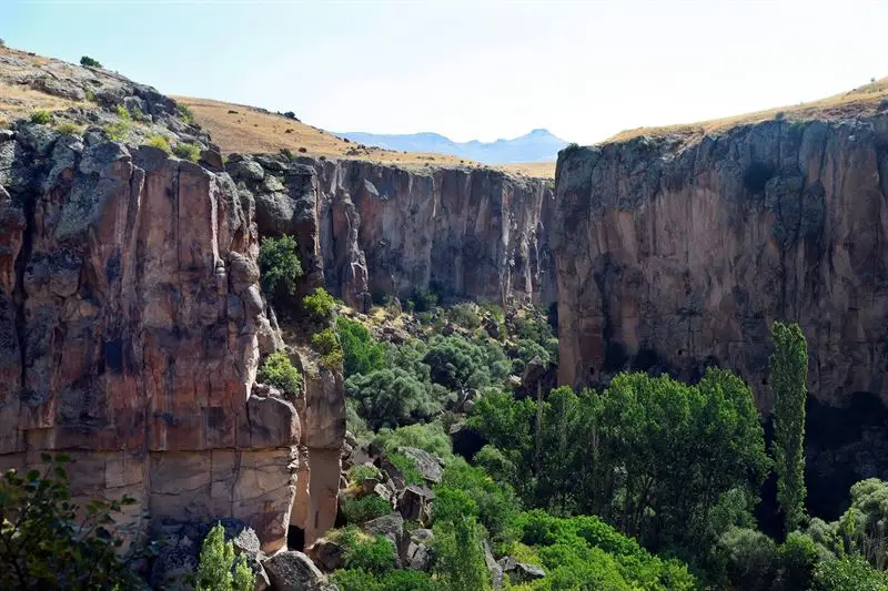 Turkeys Canyons